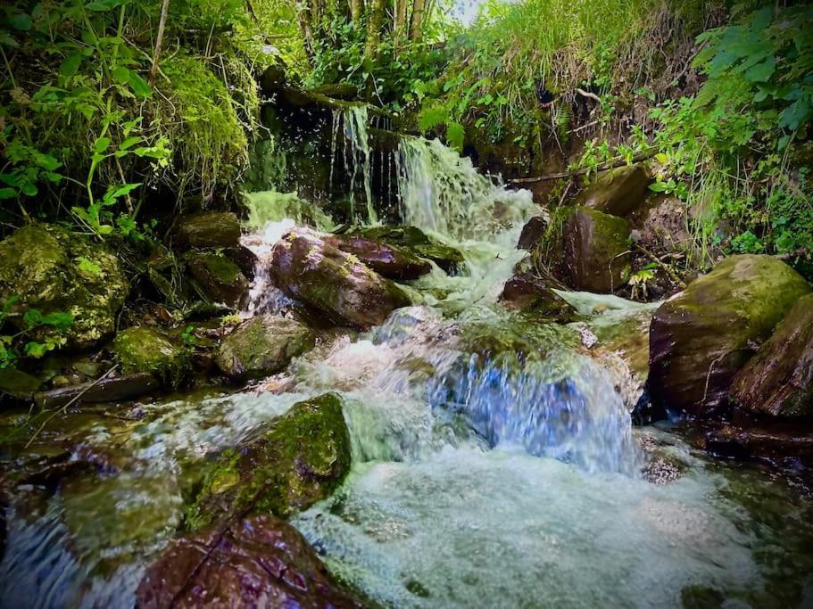 Bergerie De Lasariberes Gazost  Exteriér fotografie